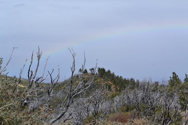 rainbow on the mountain