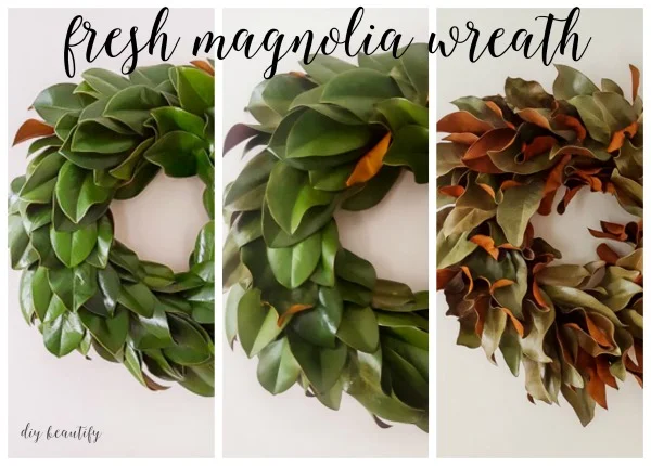 how a fresh magnolia wreath will dry