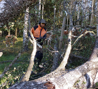 moottorisaha