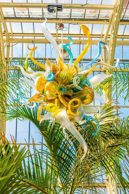 Chihuly at The Biltmore - Burnished Amber, Citron and Teal Chandeliers, 2015 Chihuly at The Biltmore - Burnished Amber, Citron and Teal Chandeliers, 2015