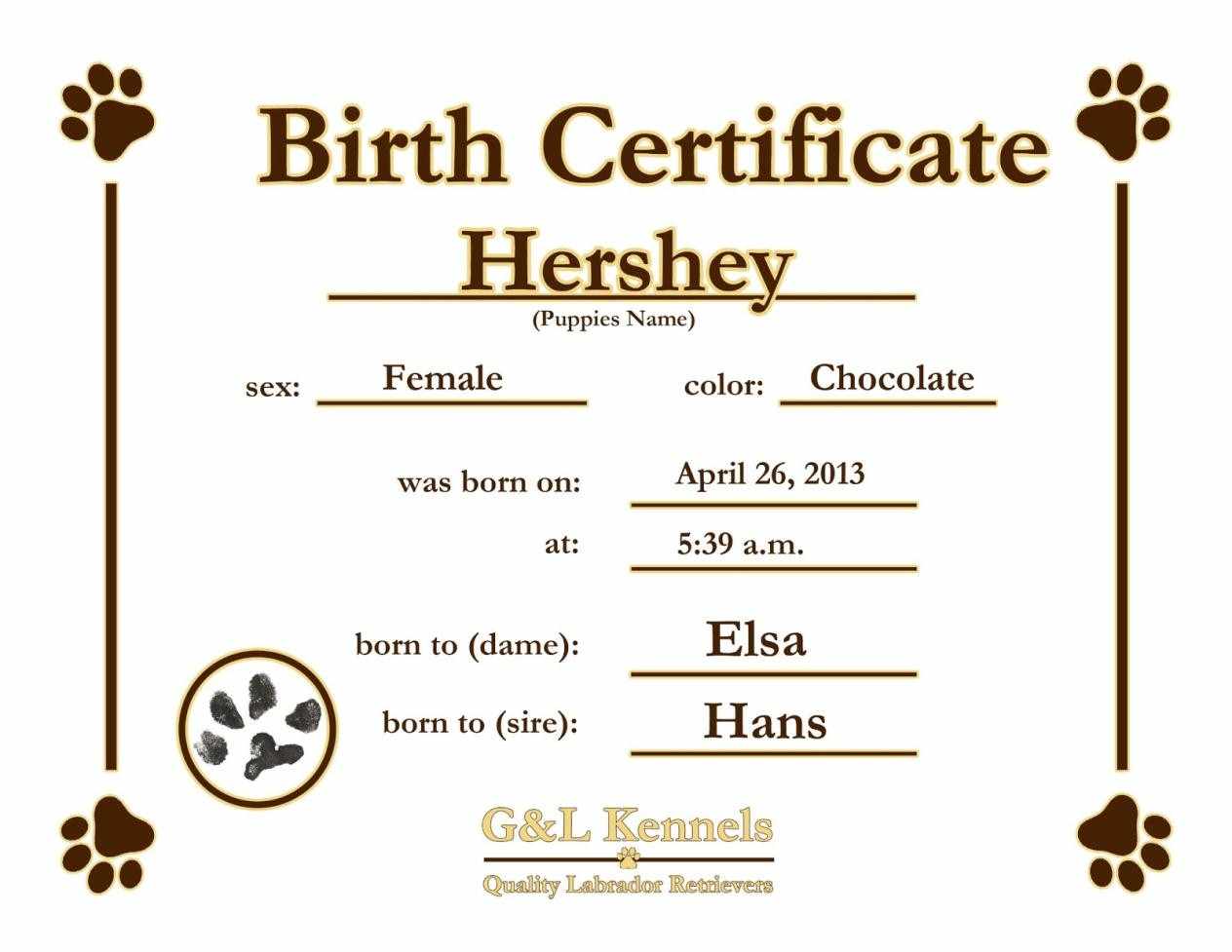Certificate Templates: Sample Birth Certificates