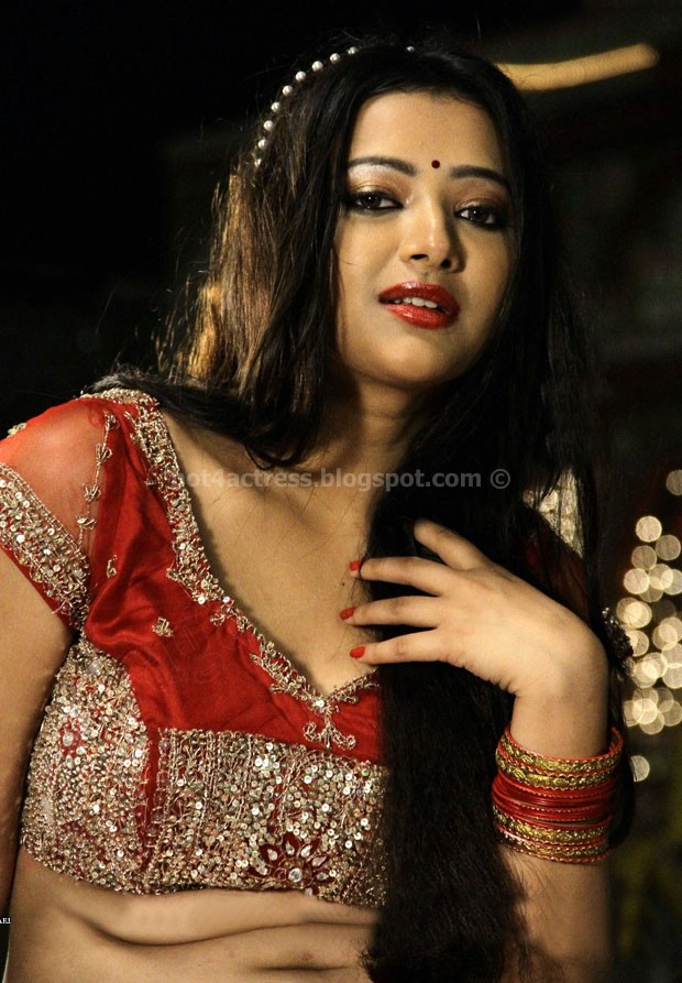 Swetha Basu Hot Navel Show Pics Hot 4 Actress