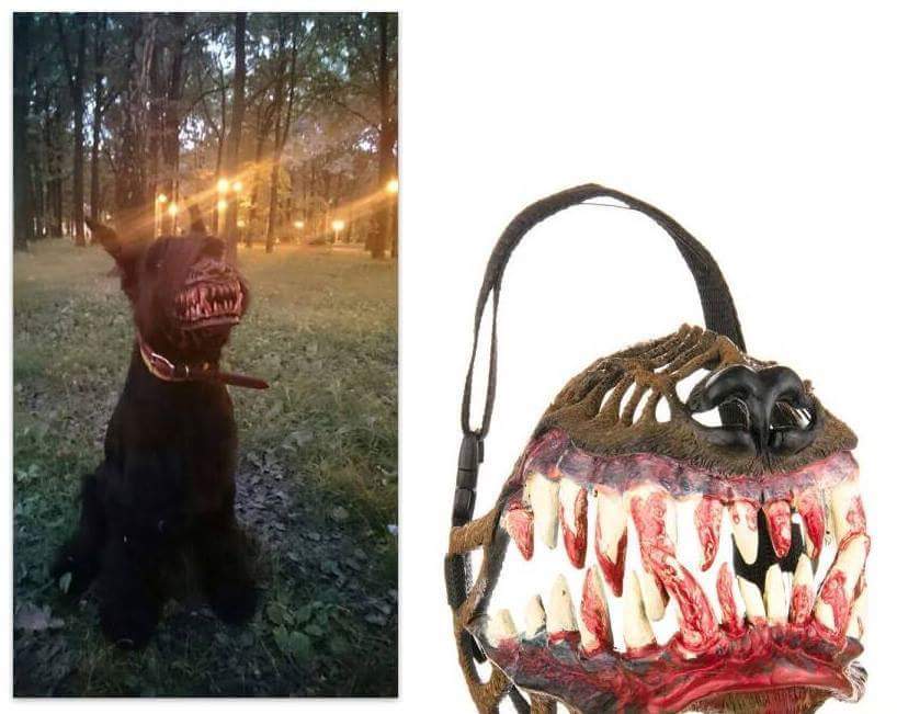 JIMSMASH ! ! ! HORROR DOG MUZZLE