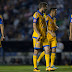 Sale Tigres de zona de Liguilla