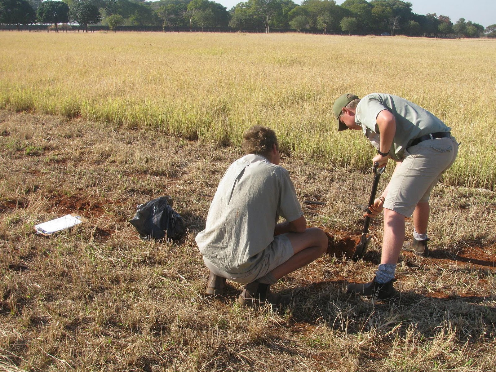 Johan Conservation and Hospitality @ sondela: Collect field specimens