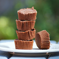 Healthy Chocolate Peanut Butter Protein Fudge Recipe
