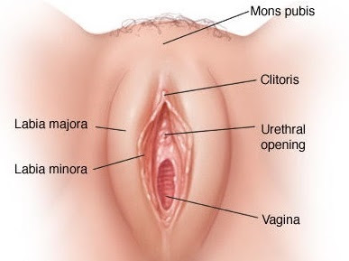 naprivat cz jak lizat vaginu naprivat cz jak lizat vaginu
