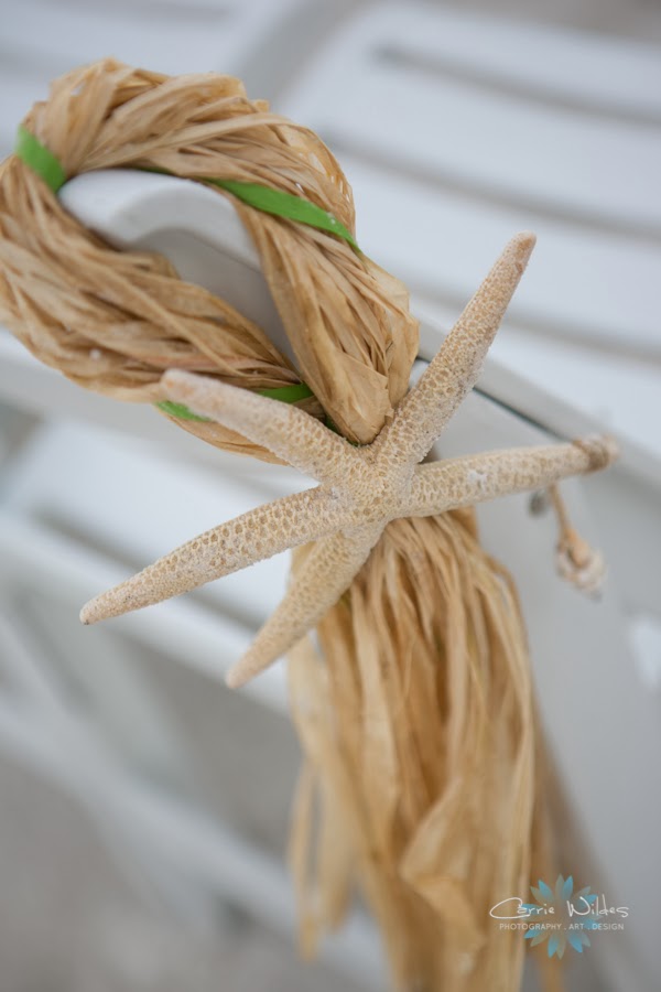 Confetti Events Sneak Peek Devon + Chad Hilton Clearwater Beach