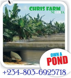 http://www.chrisfarmnigeria.com