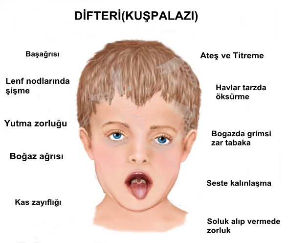 2019’de Erkeklerin Aldatma Nedenleri 30