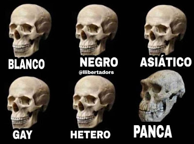 Calavera, cráneo, panca, blanco, negro, asiático, gay, hetero Calavera, cráneo, panca, blanco, negro, asiático, gay, hetero