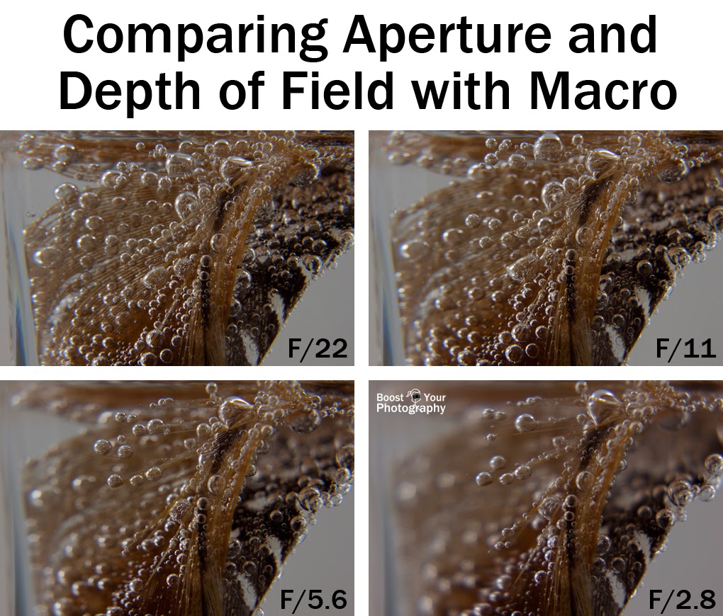 Comparing Aperture and Depth of Field for Macro and Close-Up Photography | Boost Your Photography