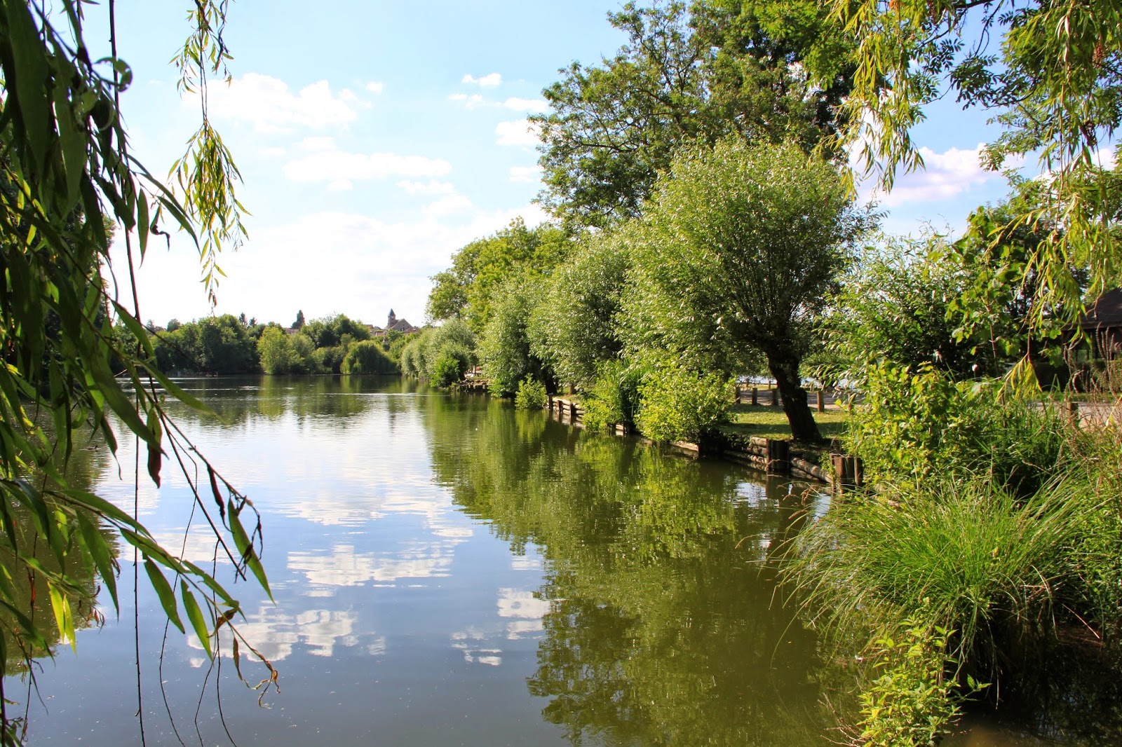 LA GAZETTE DE BIBI AUX ETANGS FLEURI A VERT LE PETIT