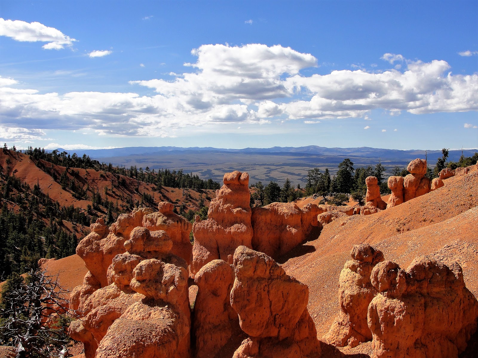 Janie and Steve, Utah Trails Red Canyon