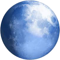 Pale Moon Browser Logo