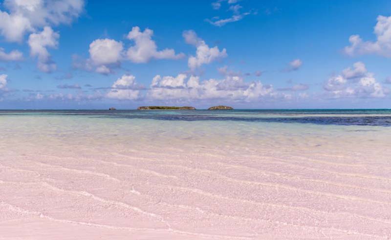 Bahamian Pink sand beach