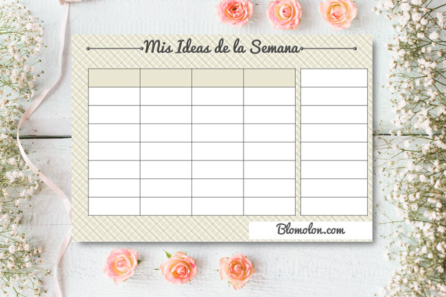 mis-ideas-de-la-semana-especial mis-ideas-de-la-semana-especial