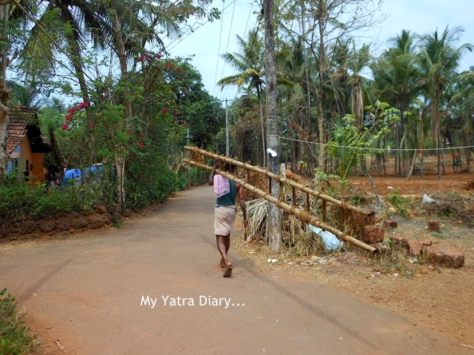 Roads Untravelled: My Village Walk in Kannur, Kerala