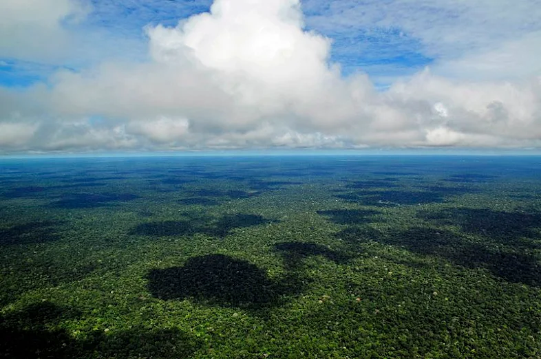 Hutan Amazon