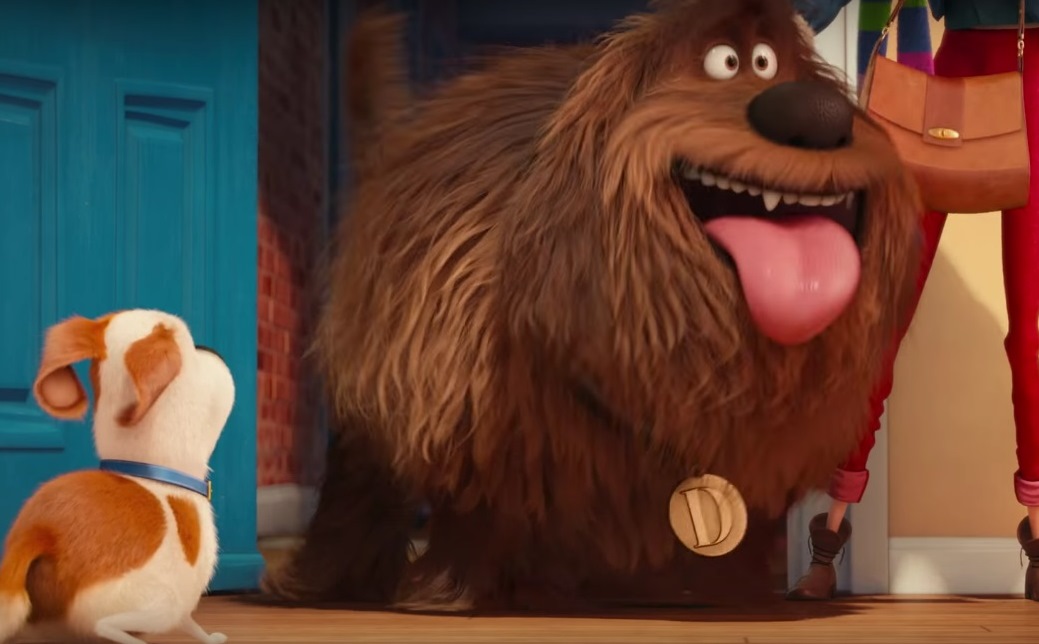 secret life of pets movie wallpaper ~ Cartoon Wallpaper