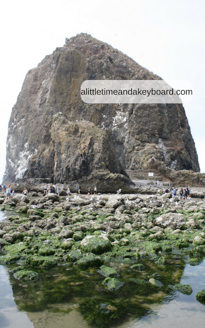 Visiting the tide pools and Haystack Rock in Oregon.