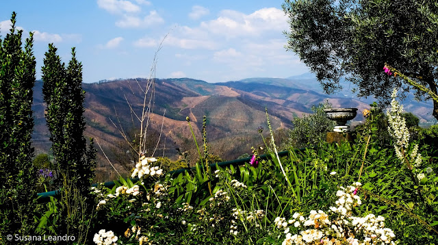 Hotel Rural Quinta da Geia mostardanonariz