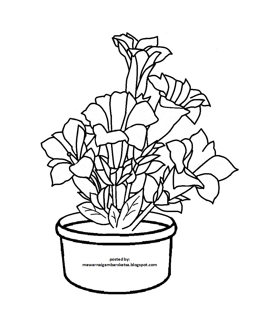 Gambar Ilustrasi Bunga Dalam Pot Hilustrasi