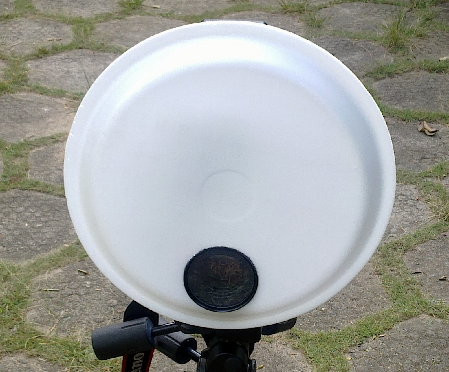 School Of Digital Photography: Diy Flash Diffuser for Macro Photography 