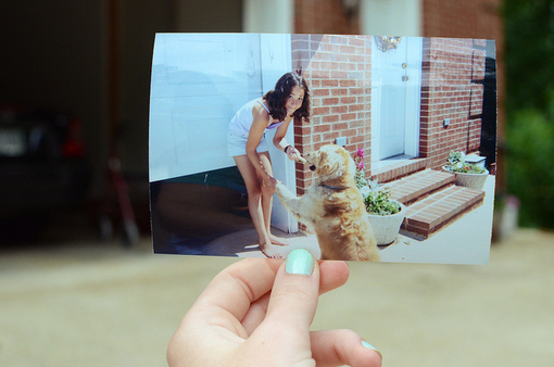 Photo Collection! Photo Collection!