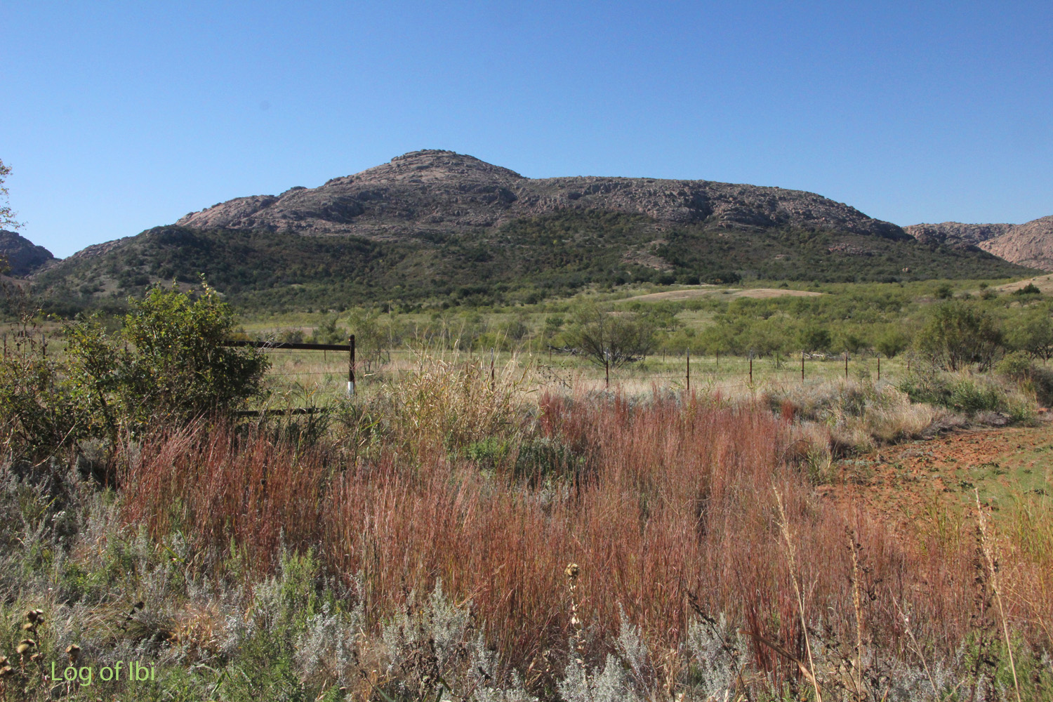 Log of Ibi Comanche Village