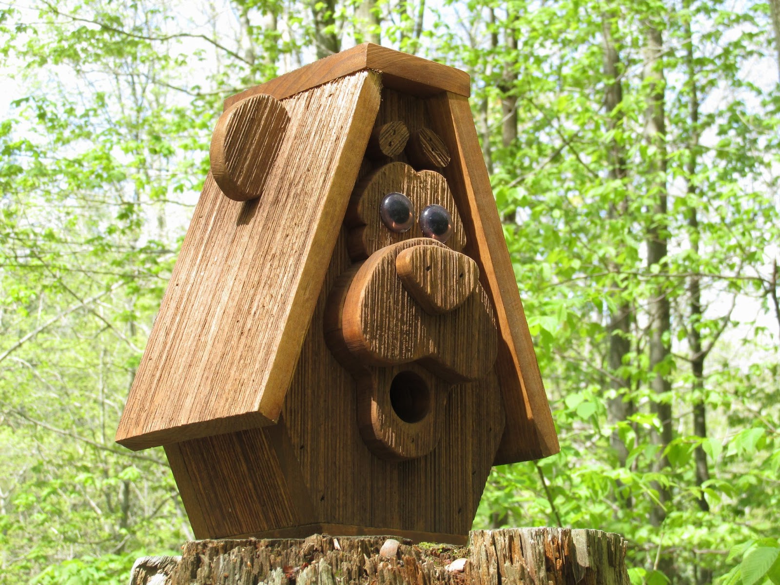 grandma-pearl-s-backporch-how-do-birds-get-their-colors