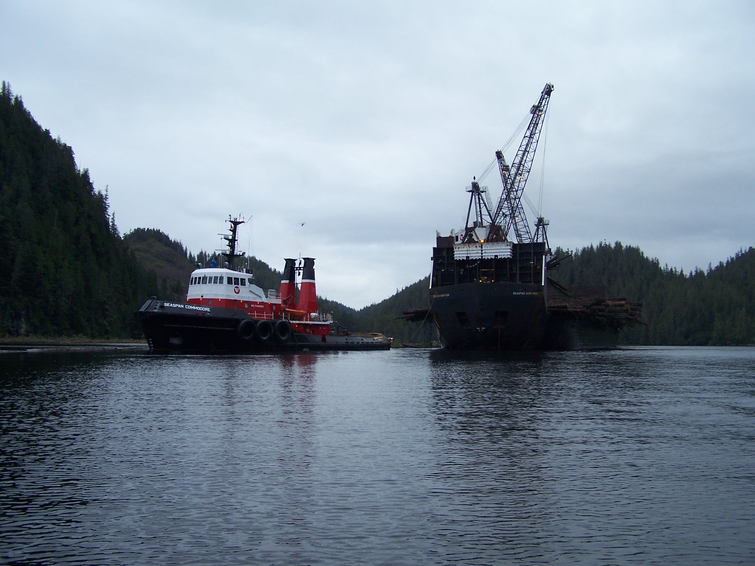 life on the inlet Heli logging