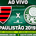 Jogo Oeste x Palmeiras Ao Vivo 30/01/2019