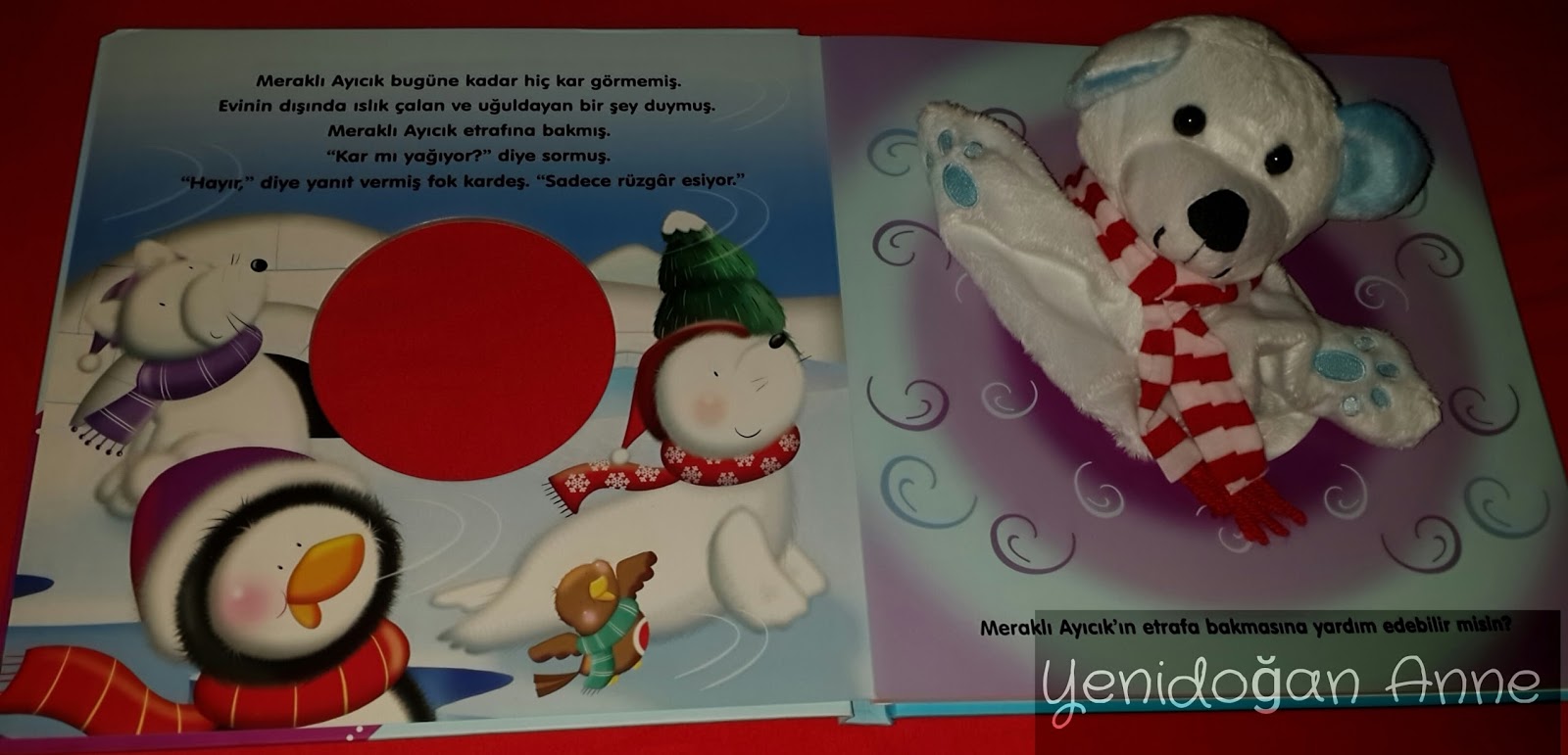 Bebekler ne zaman kitaplarla tanıştırılmalı? Yenidoğan Anne Annelik