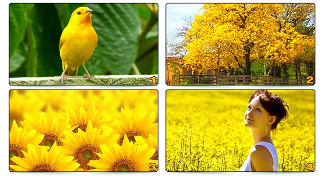 Test: El amarillo en la naturaleza Test: El amarillo en la naturaleza