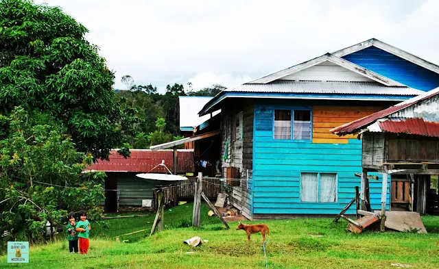 Pa Lungan (Kelabit Highlands), Borneo (Malasia)