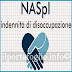 Indennità di Disoccupazione: Domanda di Naspi, Requisiti e Contributi