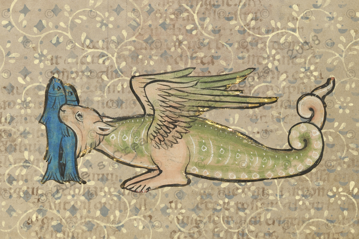 Дракон цмок в польской мифологии. Цмок дракон. Палмер покемон. Девятиголовый змей горыныч. Цмок дракон.