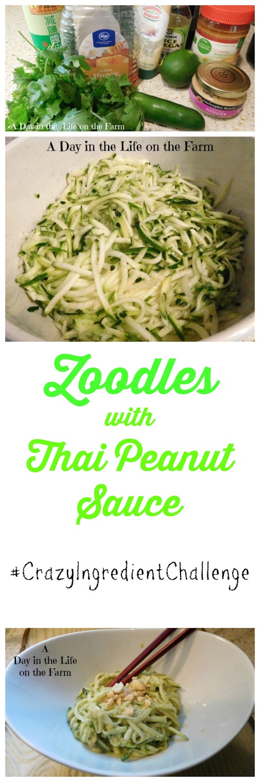 A Day in the Life on the Farm Zoodles with Thai Peanut Sauce CrazyIngredientChallenge