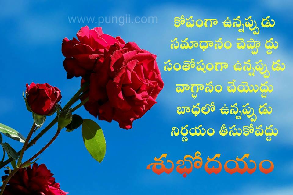 310 Good Morning Telugu Images With Quotes 2020 Wishes Sms