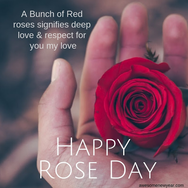 Happy Rose Day 2019 Quotes