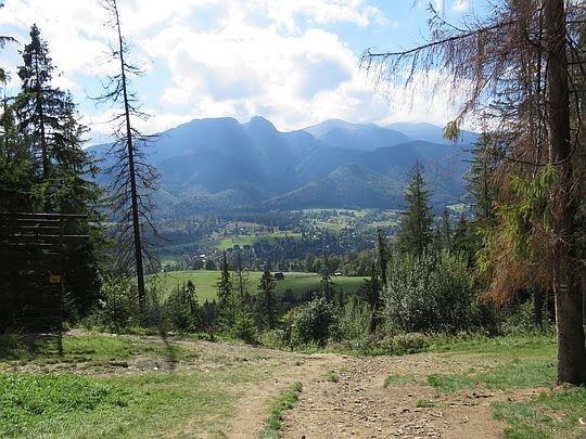 Widok na Kotlinę Zakopiańską i Giewont. Widok na Kotlinę Zakopiańską i Giewont.