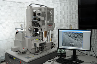 Scanning Electron Microscope (SEM) Scanning Electron Microscope (SEM)