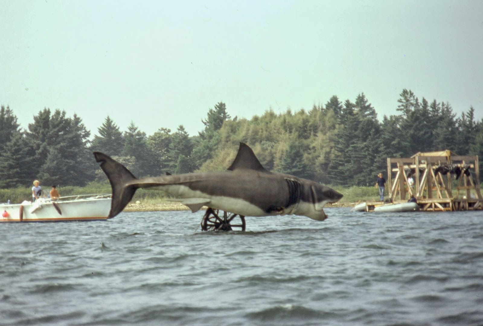 Jaws 2 Filming Locations Where Are The Iconic Visuals vrogue.co