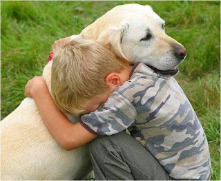Consejos Para Amar y Acariciar A Tu Perro Consejos Para Amar y Acariciar A Tu Perro