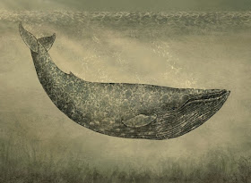 12-Damask-Whale-The-Fan-Brothers-Surreal-Illustrations-www-designstack-co