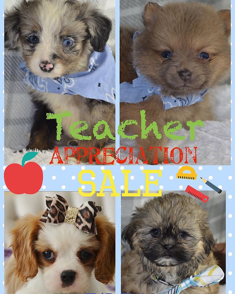 Alabama Toys & Teacups