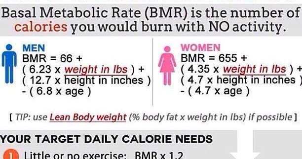 showme-nan-how-to-calculate-your-calories