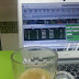 Lunch Date with an experienced investor