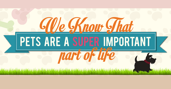 Image: We Know That Pets Are A Super Important Part Of Life